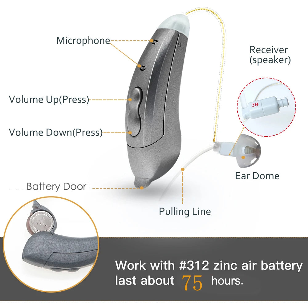 Discreet Bluetooth Hearing Aid With App Control For Seniors