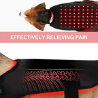 LumaCare Pet Infrared Light Belt For Pain Relief And Soft Tissue Support