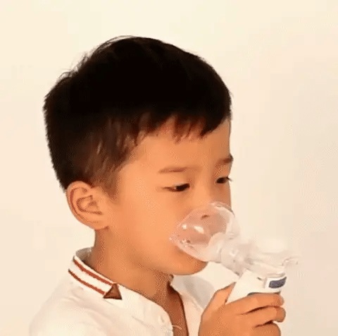 AeroMist Ultrasonic Breathing Aid Portable Rechargeable