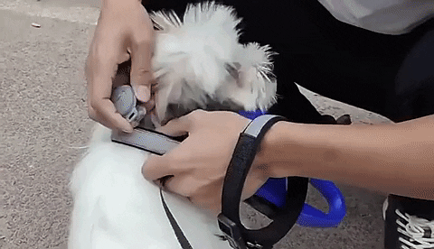 NovaTrail Pro Plus GPS Dog Locator And Activity Tracker