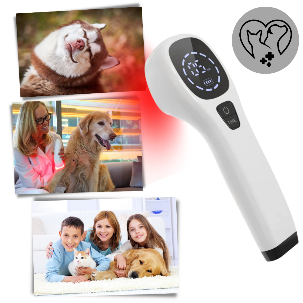 CanineLuma Laser Therapy to Support Dog Health and Skin