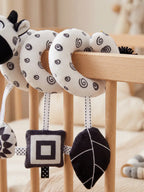 Monochrome Sensory Spiral for Early Development
