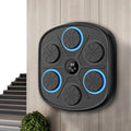 PunchMate Smart Boxing Trainer For Home Fitness Training