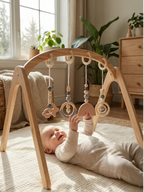 Set of 4 Wooden Baby Play Gym Toys