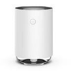 MistFris Mini Humidifier – Whisper-quiet and USB-powered (2W)