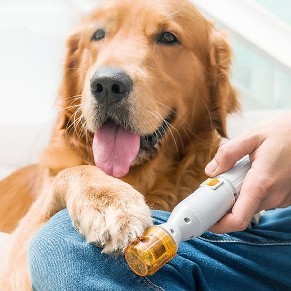 For Cats And Dogs Of All Sizes PawEase Gentle Nail Trimmer