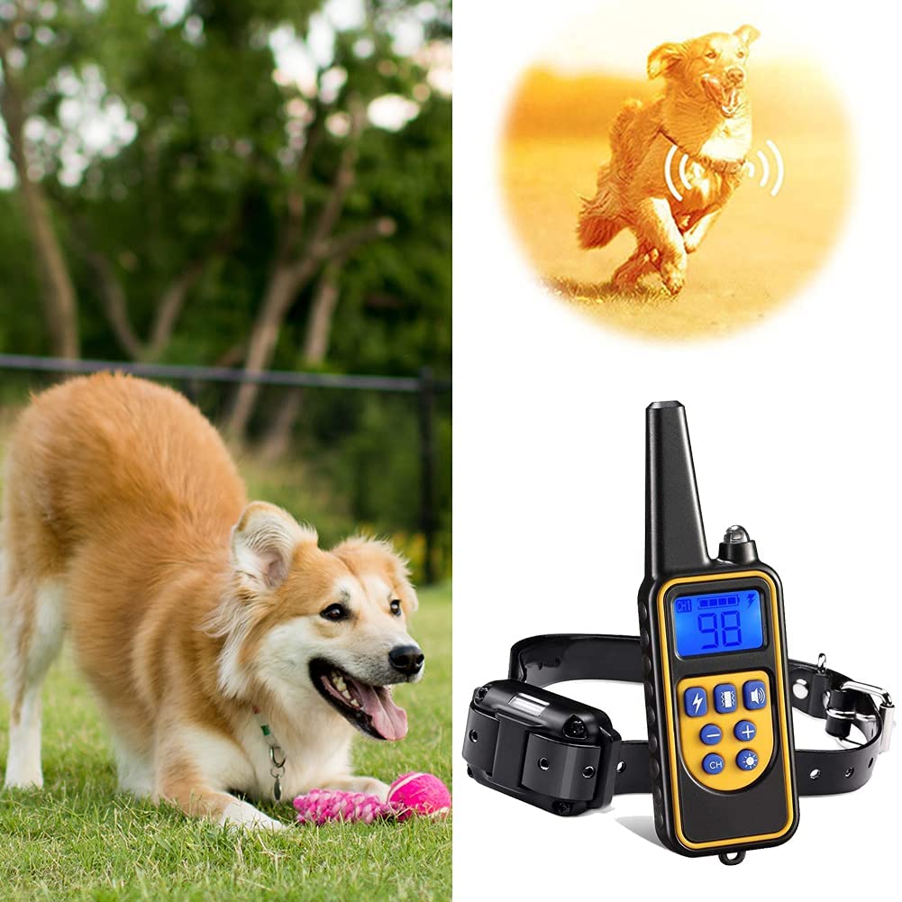 Collare Elettrico per Addestramento Cani con Portata di 800M Ora Disponibile