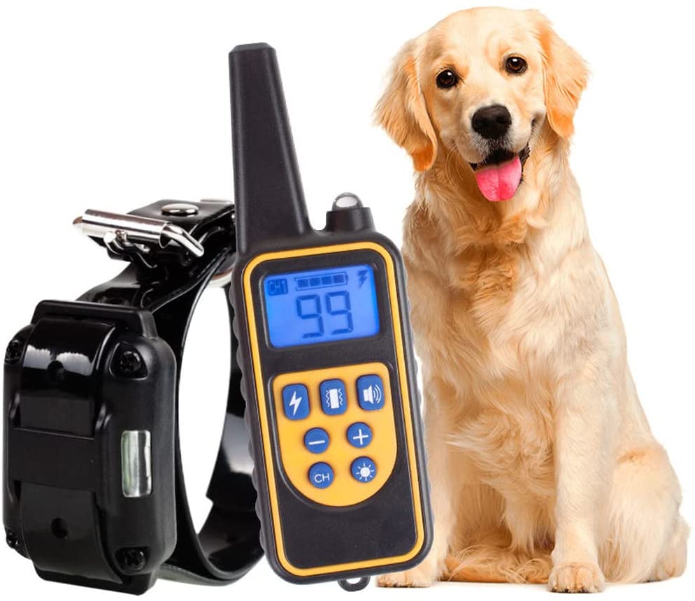 Collare Elettrico per Addestramento Cani con Portata di 800M Ora Disponibile