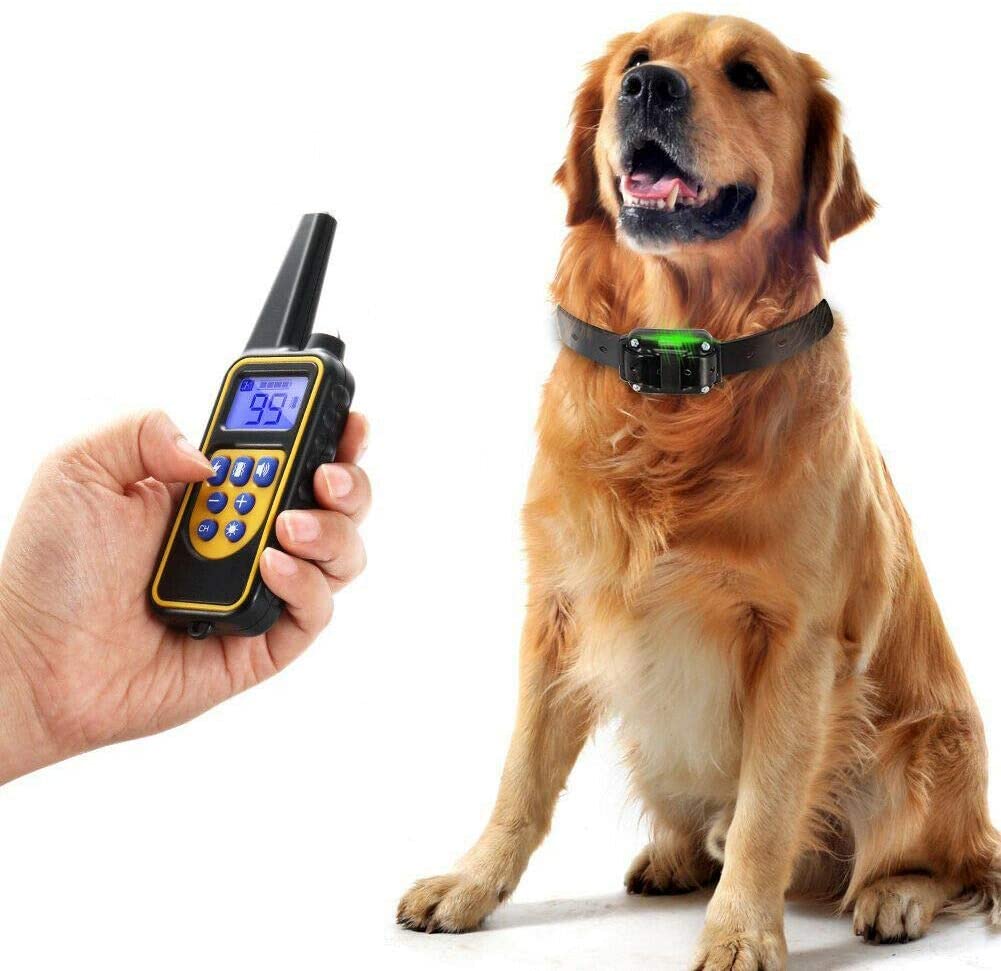 Collare Elettrico per Addestramento Cani con Portata di 800M Ora Disponibile