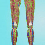 AeroAura Leg Massager With Circulation Support And Soft Heat