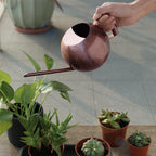 Sylvara Stainless Watering Can With Spherical Spout