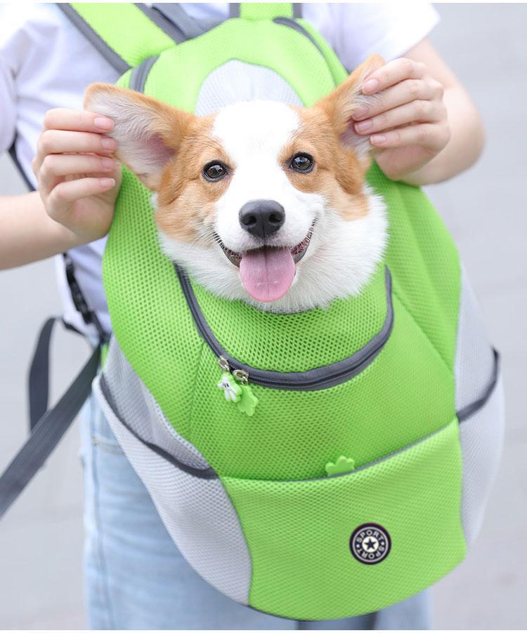 TrailPaw Adventure Carrier For Dogs, Comfortable And Safe