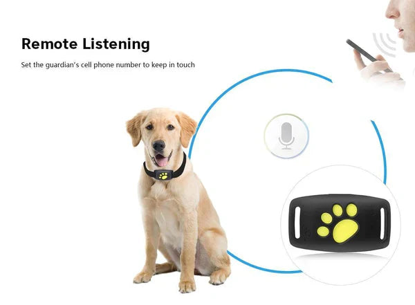 PawGuard Kedi Bulucu Mikroçip ve GPS Takibi ile
