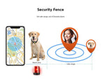 PawGuard Kedi Bulucu Mikroçip ve GPS Takibi ile