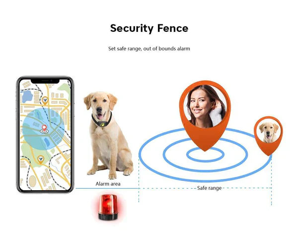 PawGuard Kedi Bulucu Mikroçip ve GPS Takibi ile