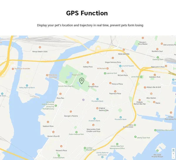 PawGuard Kedi Bulucu Mikroçip ve GPS Takibi ile