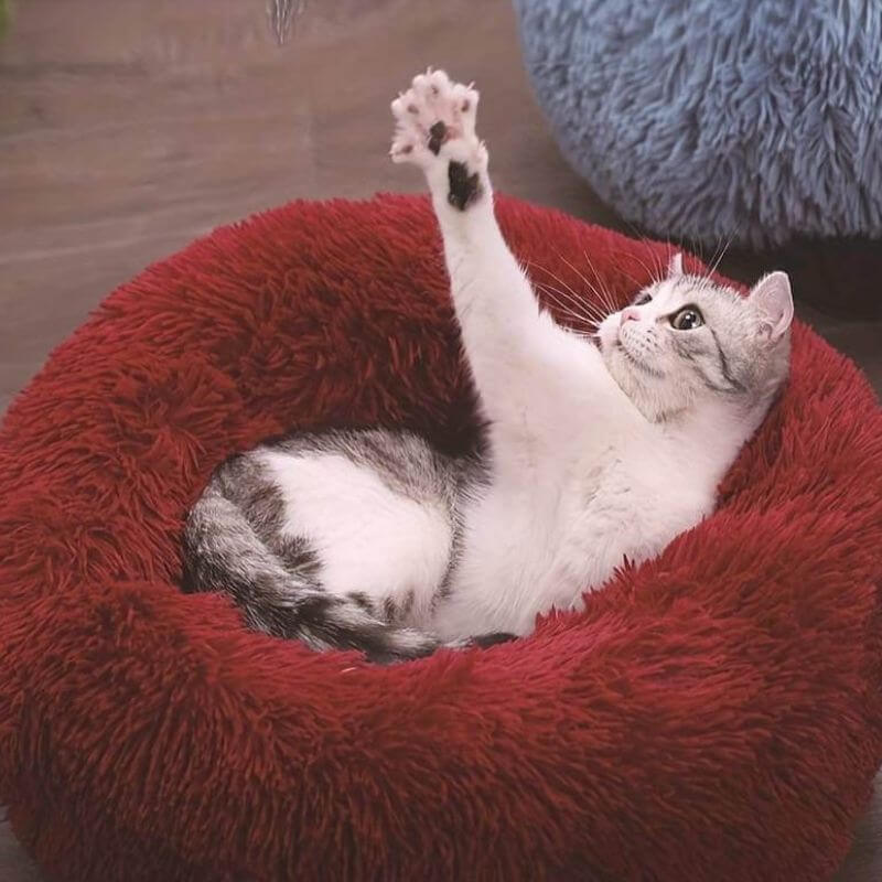 CalmPaws Kattenbed voor Angstvermindering en Comfort de Hele Dag
