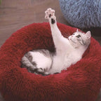 CalmPaws Kattenbed voor Angstvermindering en Comfort de Hele Dag