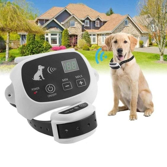 Collare invisibile impermeabile senza fili per delimitare l'area degli animali domestici